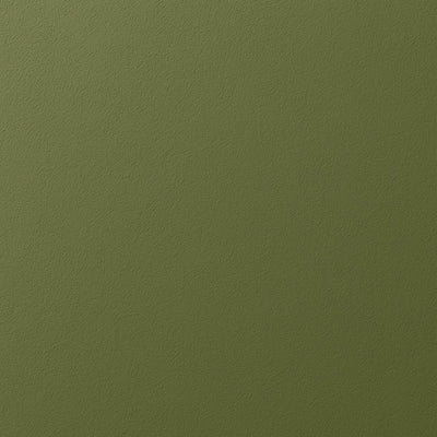 Frisch gestrichene Holzoberfläche – re-box Lack Matcha Bloom No. 9, seidenglänzend, Farbton lebendiges Matcha-Grün, für Möbel & Holz