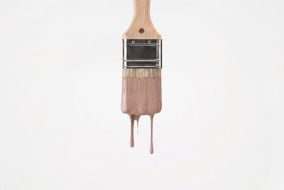 Pinsel mit frisch angemischter re-box Wandfarbe