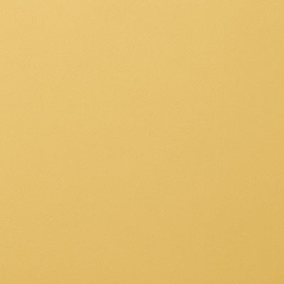 Frisch gestrichene Wand in re-box Wandfarbe Soleil Doux No.45 – warmes Sonnengelb