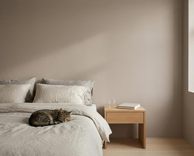 Schlafzimmer mit Wand in re-box Wandfarbe Hippo Shade No. 19 – sanftes Beige