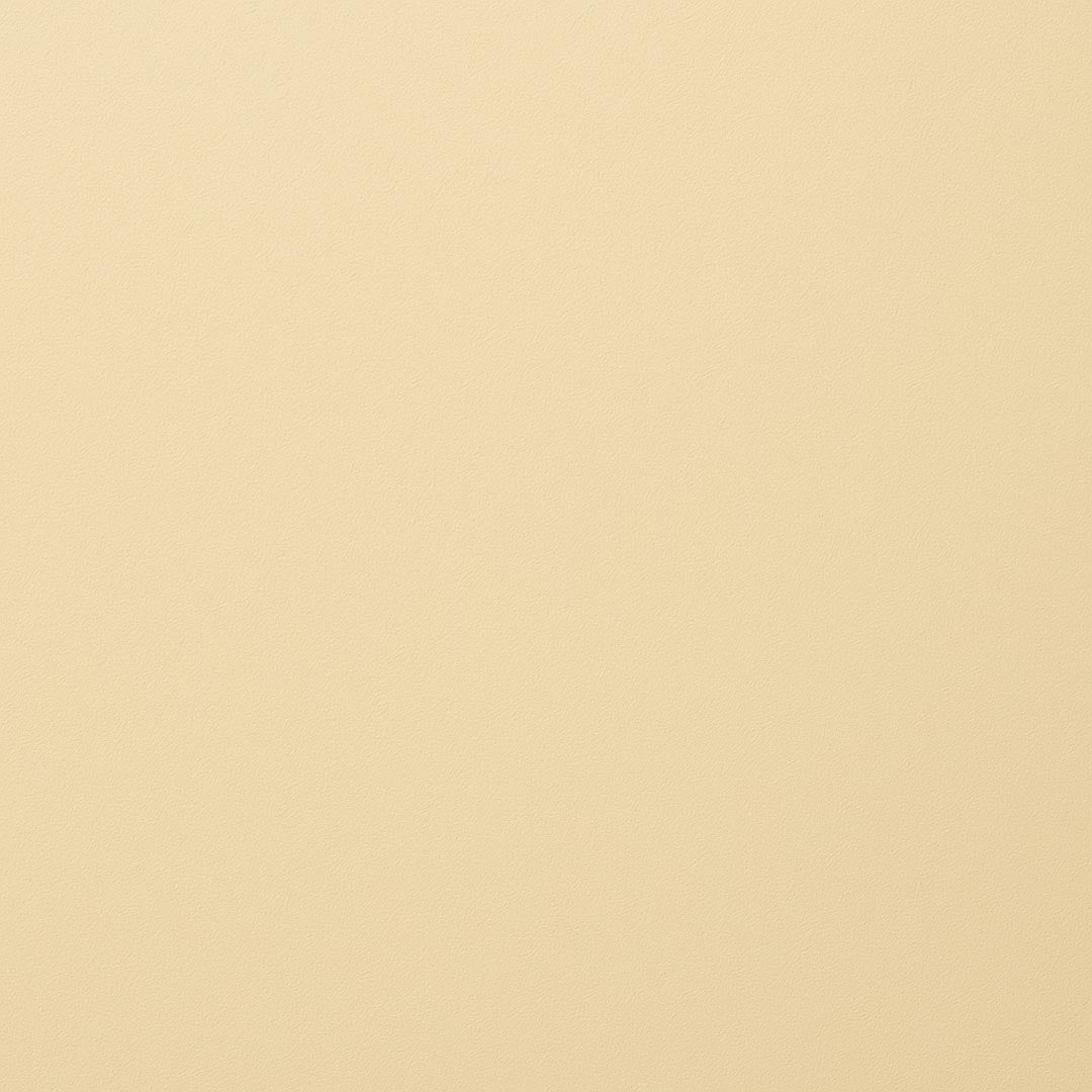 Frisch gestrichene Wand in re-box Wandfarbe Blanc Pêche No. 47 – zartes Pfirsich-Weiß