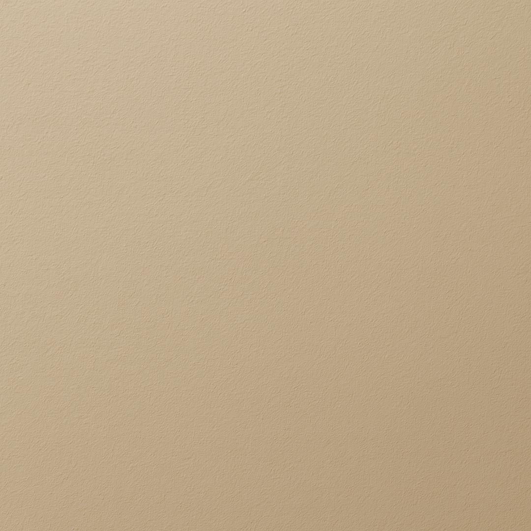 Frisch gestrichene Wand in re-box Wandfarbe Craie Ancienne No. 60 – warmes, sandiges Beige