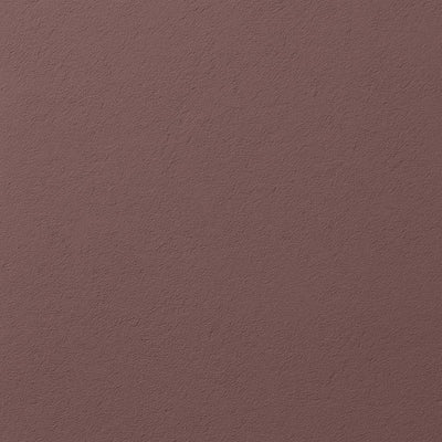 Frisch gestrichene Wand in re-box Wandfarbe Muted Rose No. 29 – gedämpftes Rosé