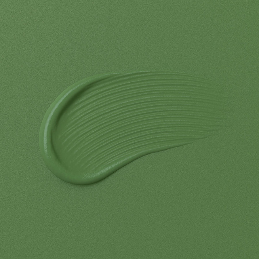 re-box Wandfarbe Green Husk No.10 – lebendiges, sattes Grün mit natürlicher Kraft. Bringt Energie, Frische und Vitalität in moderne und klassische Räume.